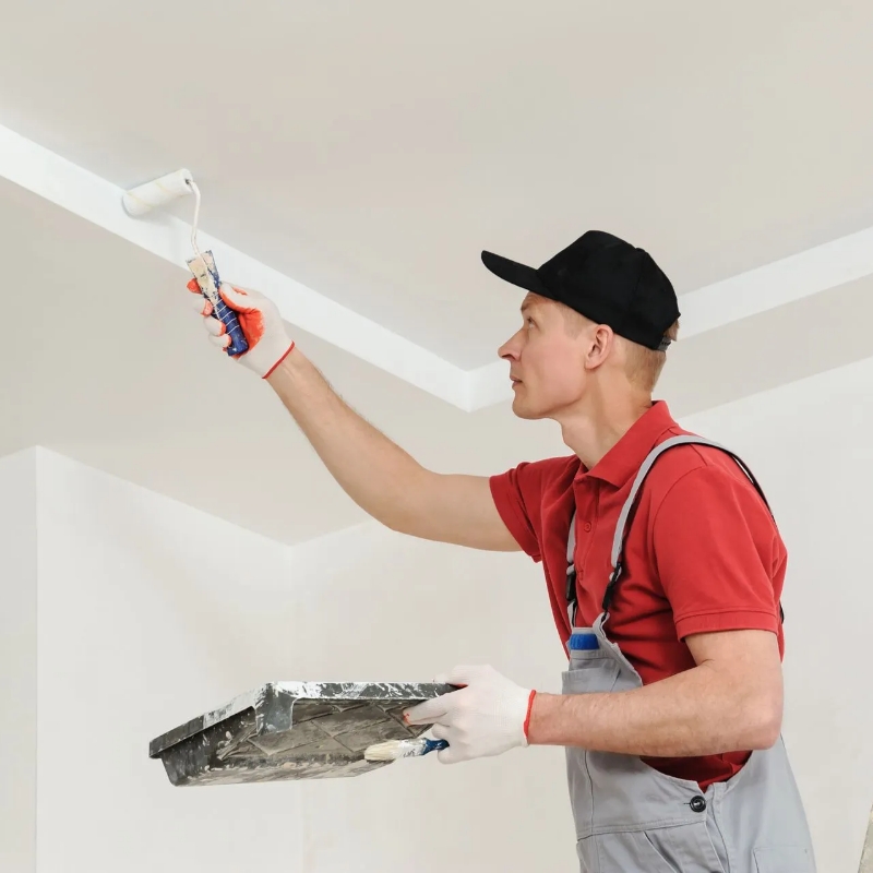 Renovlux Renovation Maison Nantes Artisan En Peinture 2